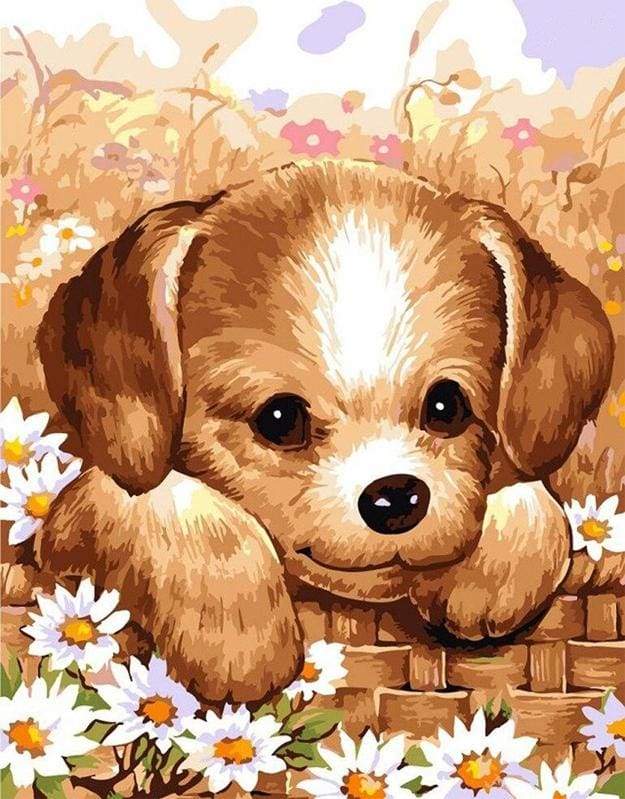 Dipingere con i numeri - Piccolo Cucciolo