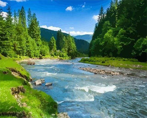 Dipingere con i numeri - Piccolo Fiume Nella Foresta