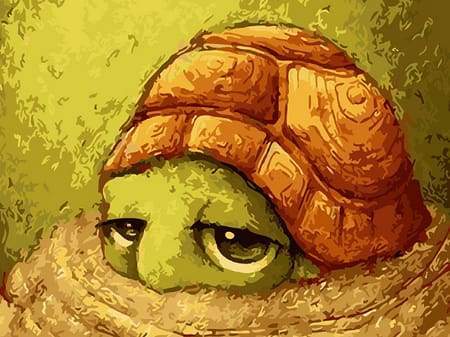 Dipingere con i numeri - Piccola Tartaruga