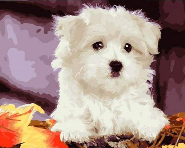 Dipingere con i numeri - Piccolo Cane Bianco