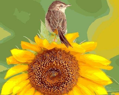 Dipingere con i numeri - Girasole E Uccello