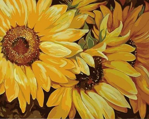 Dipingere con i numeri - Girasole In Piena Fioritura