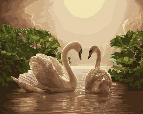 Dipingere con i numeri - Cigni Al Tramonto