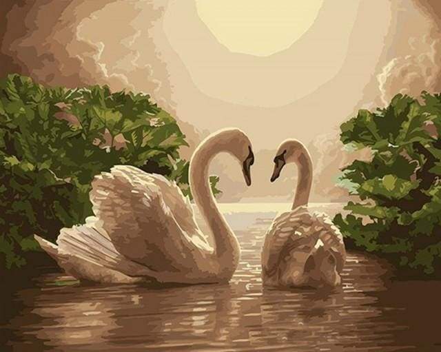Dipingere con i numeri - Cigni Al Tramonto