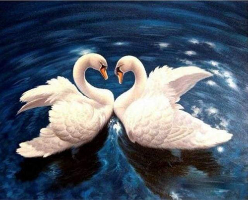 Dipingere con i numeri - Cigni Sul Lago Blu