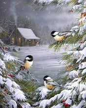 Carica l&#39;immagine nel visualizzatore di Gallery, Dipingere con i numeri - Tre Uccelli Nella Neve