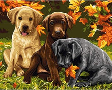 Carica l&#39;immagine nel visualizzatore di Gallery, Dipingere con i numeri - Tre Cani