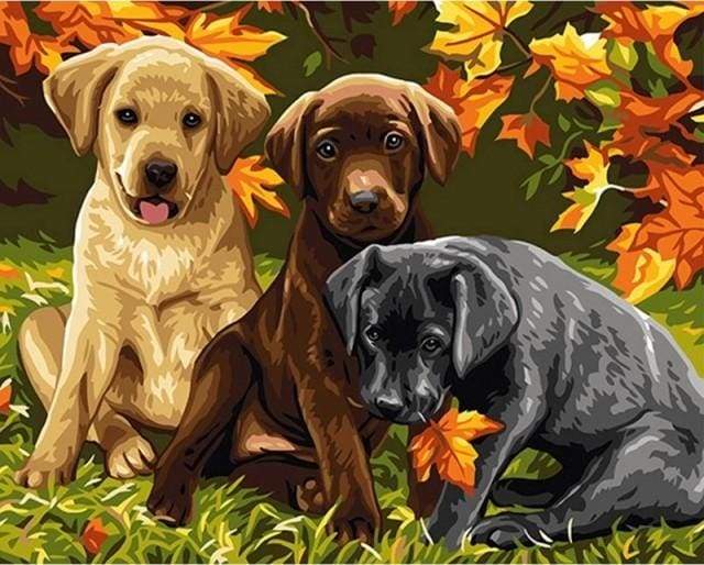 Dipingere con i numeri - Tre Cani