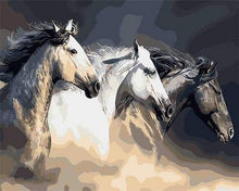 Carica l&#39;immagine nel visualizzatore di Gallery, Dipingere con i numeri - Tre Cavalli