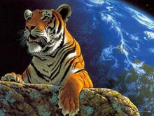 Carica l&#39;immagine nel visualizzatore di Gallery, Dipingere con i numeri - Tigre E Terra