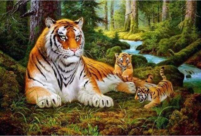 Dipingere con i numeri - Famiglia Di Tigri Nel Bosco