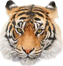 Carica l&#39;immagine nel visualizzatore di Gallery, Dipingere con i numeri - Testa Di Tigre