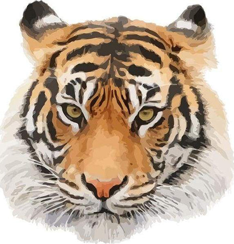 Dipingere con i numeri - Testa Di Tigre