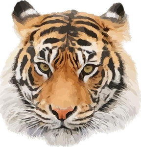 Dipingere con i numeri - Testa Di Tigre