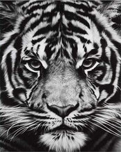 Carica l&#39;immagine nel visualizzatore di Gallery, Dipingere con i numeri - Testa Di Tigre In Bianco E Nero