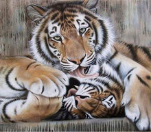 Carica l&#39;immagine nel visualizzatore di Gallery, Dipingere con i numeri - Tigri