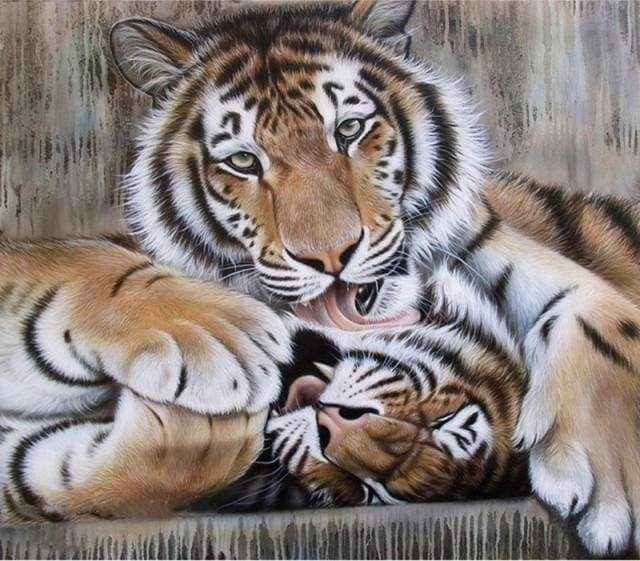 Dipingere con i numeri - Tigri