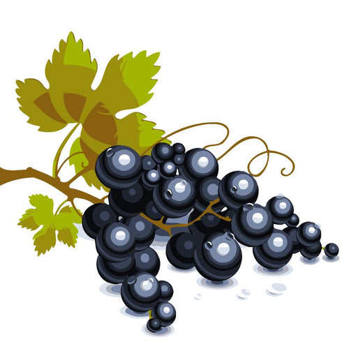 Dipingere con i numeri Bambini - Uva