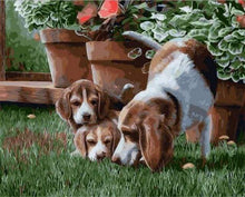Carica l&#39;immagine nel visualizzatore di Gallery, Dipingere con i numeri - Cani Da Albero