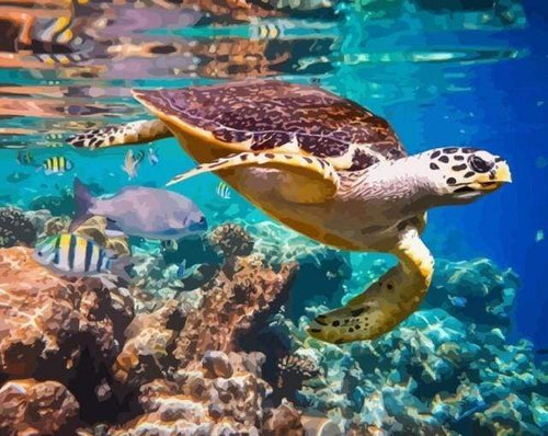 Dipingere con i numeri - Tartarughe Nel Tuo Ambiente