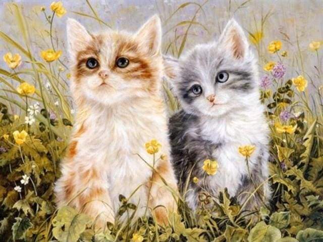 Dipingere con i numeri - Due Gattini