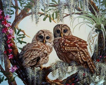 Carica l&#39;immagine nel visualizzatore di Gallery, Dipingere con i numeri - Due Gufi