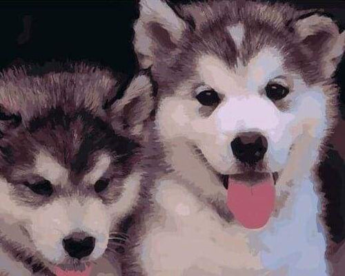 Dipingere con i numeri - Due Cuccioli