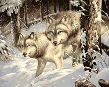 Carica l&#39;immagine nel visualizzatore di Gallery, Dipingere con i numeri - Due Lupi Nella Neve