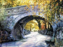 Carica l&#39;immagine nel visualizzatore di Gallery, Dipingere con i numeri - Sotto Il Ponte