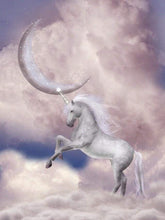 Carica l&#39;immagine nel visualizzatore di Gallery, Dipingere con i numeri - Unicorno E Luna Nel Cielo