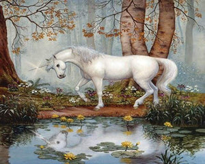 Dipingere con i numeri - Unicorno Nella Foresta