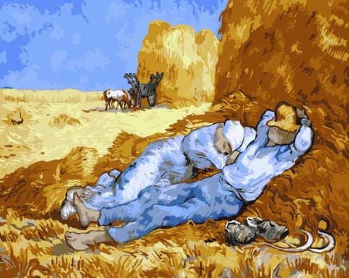 Dipingere con i numeri - Van Gogh Campo