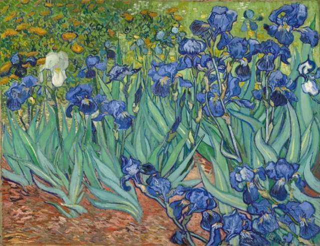 Dipingere con i numeri - Van Gogh campo di Iris