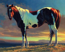 Carica l&#39;immagine nel visualizzatore di Gallery, Dipingere con i numeri - Cavallo Bianco E Marrone