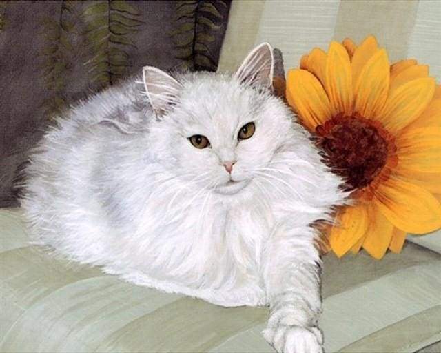 Dipingere con i numeri - Gatto Bianco E Girasole