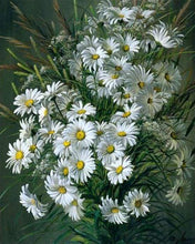 Carica l&#39;immagine nel visualizzatore di Gallery, Dipingere con i numeri - Margherite Bianche