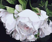 Carica l&#39;immagine nel visualizzatore di Gallery, Dipingere con i numeri - Ritratto Di Fiori Bianchi