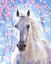 Carica l&#39;immagine nel visualizzatore di Gallery, Dipingere con i numeri - Cavallo Bianco E Fiori