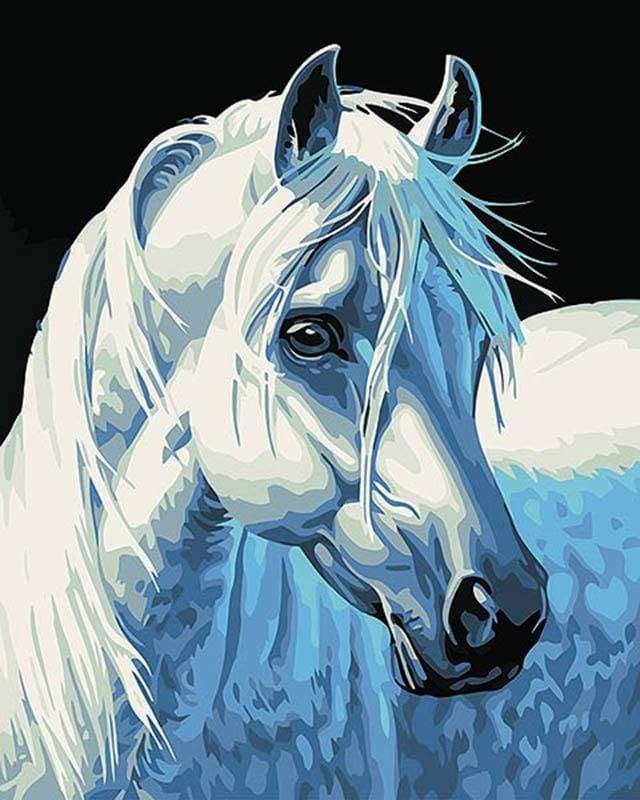 Dipingere con i numeri - Testa Di Cavallo Bianco