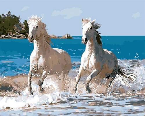Dipingere con i numeri - Cavalli Bianchi E Mare