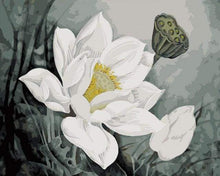 Carica l&#39;immagine nel visualizzatore di Gallery, Dipingere con i numeri - Loto Bianco
