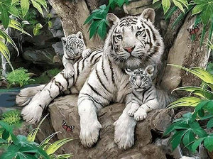 Dipingere con i numeri - Famiglia Di Tigri Bianche