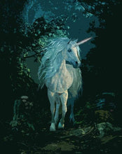 Carica l&#39;immagine nel visualizzatore di Gallery, Dipingere con i numeri - Unicorno Bianco Di Notte