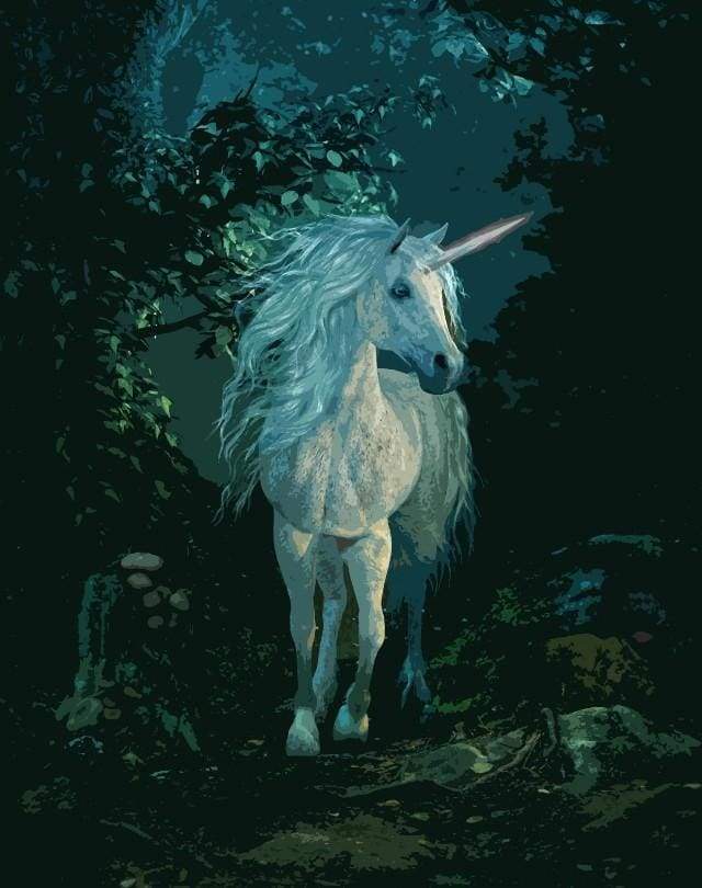 Dipingere con i numeri - Unicorno Bianco Di Notte