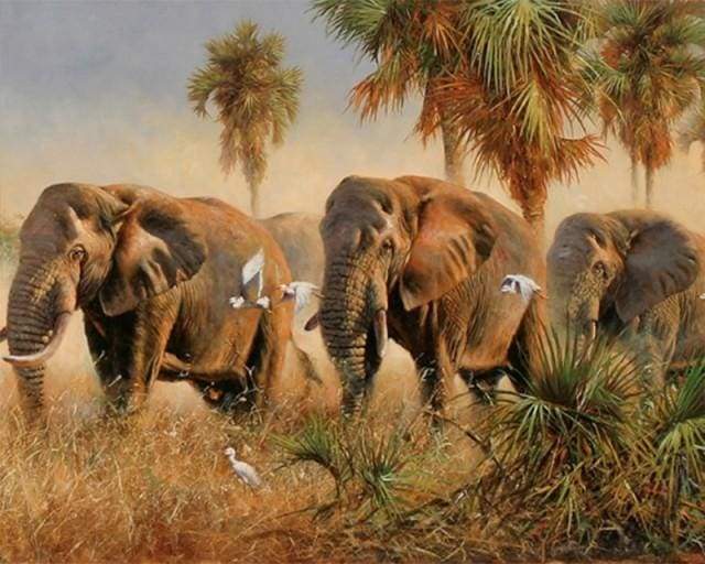 Dipingere con i numeri - Elefanti Selvaggi