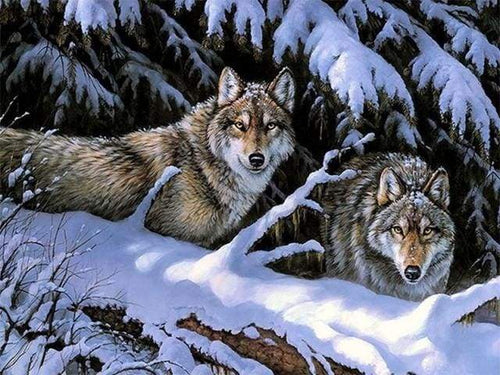 Dipingere con i numeri - Lupi In Inverno