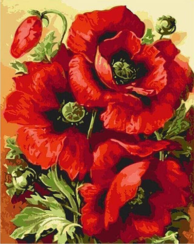 Dipingere con i numeri - Meravigliosi Fiori Rossi