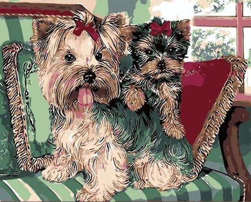 Dipingere con i numeri - Yorkshire Terrier Sul Divano